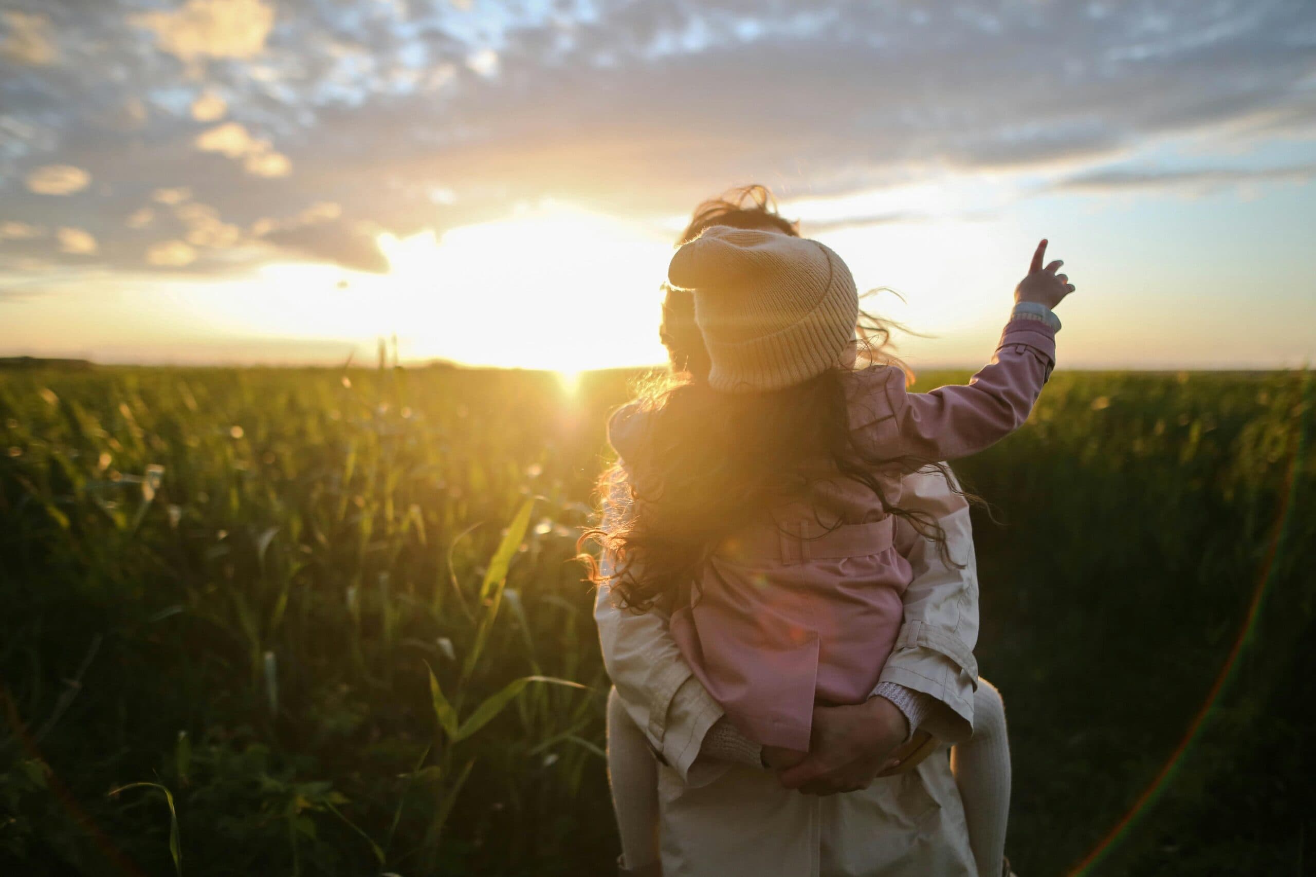 customized estate planning solutions